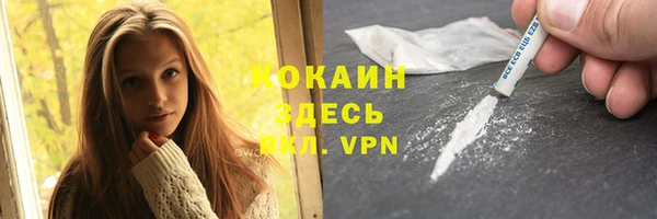 гидра Алексин