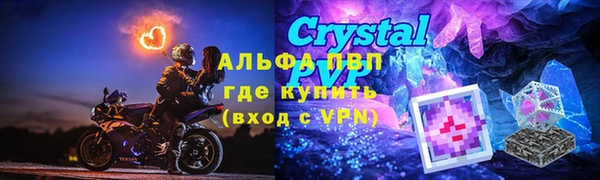 гидра Алексин