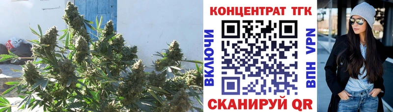 omg как зайти  Котовск  ТГК вейп 