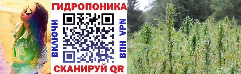 Каннабис сатива  Котовск 